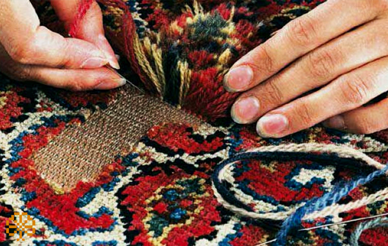 Eliminate Moths from Rugs